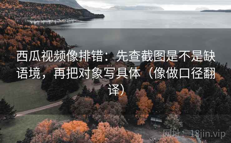 西瓜视频像排错：先查截图是不是缺语境，再把对象写具体（像做口径翻译）